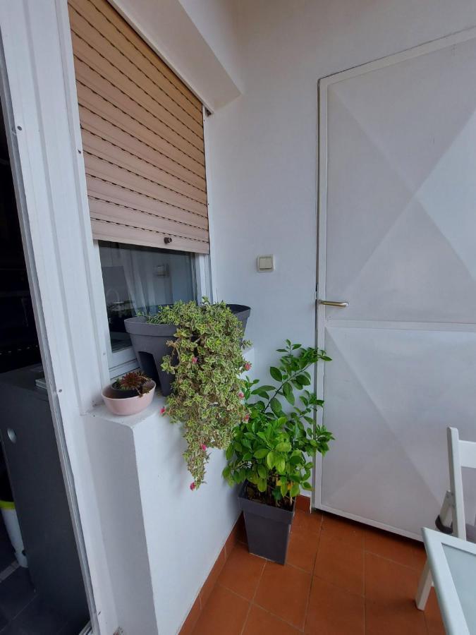 Center Danube Street Apartment Novi Sad Buitenkant foto