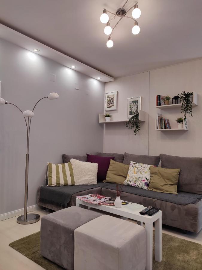 Center Danube Street Apartment Novi Sad Buitenkant foto