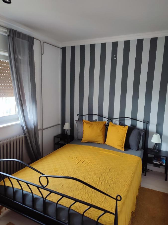 Center Danube Street Apartment Novi Sad Buitenkant foto