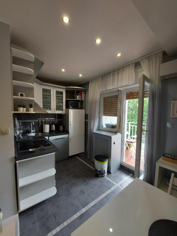 Center Danube Street Apartment Novi Sad Buitenkant foto